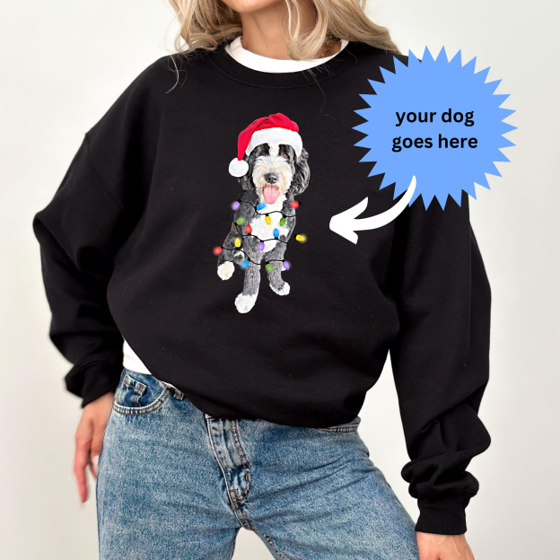 Custom Dog Sweatshirt, Holiday gift for Dog Lovers, Holiday Pet Crewneck, Personalized dog Christmas sweater, Custom Pet Illustration