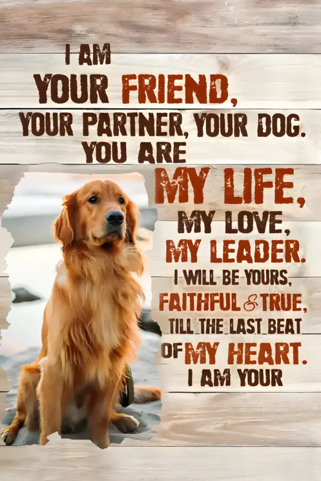 Custom Dog Portrait Poster, I am your dog Personalized photo pet gift for pet owners