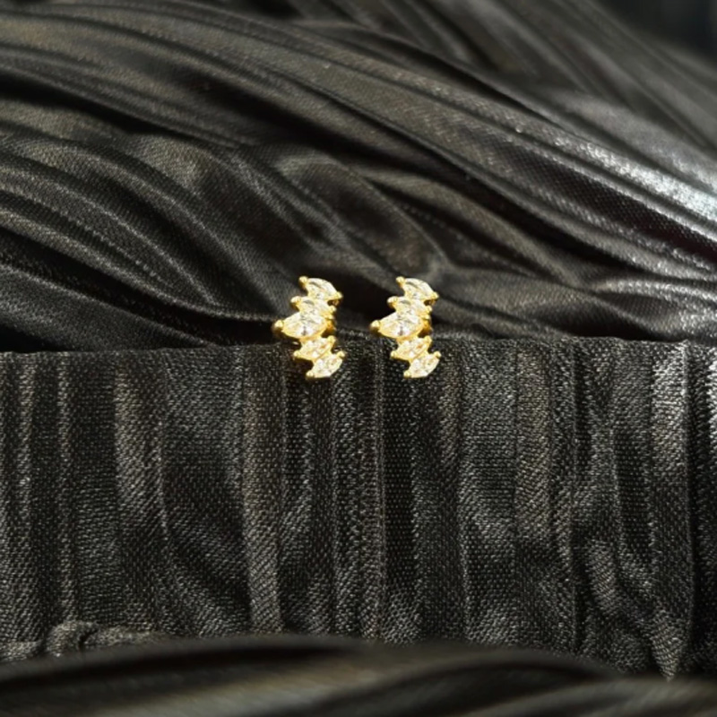 Fashionable zircon flower spike earrings