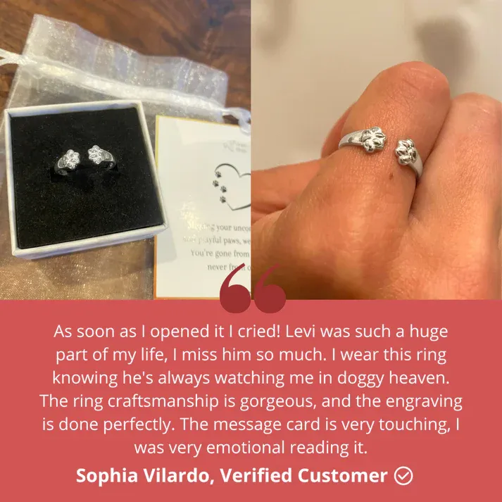 Heavenly Claws Embrace Ring