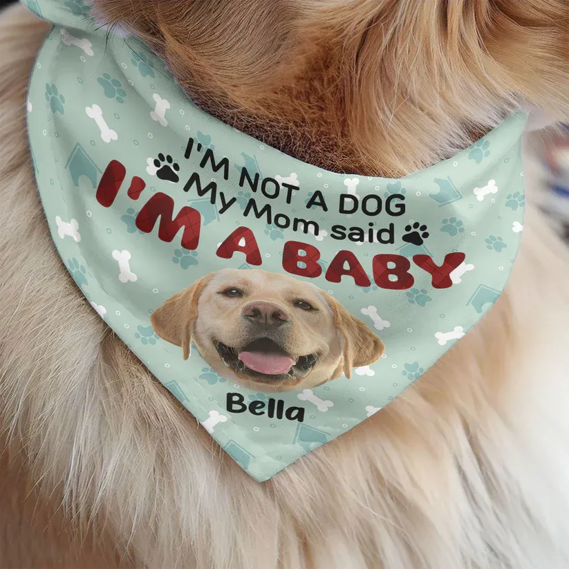 Personalized Photo Dog Bandana Collar