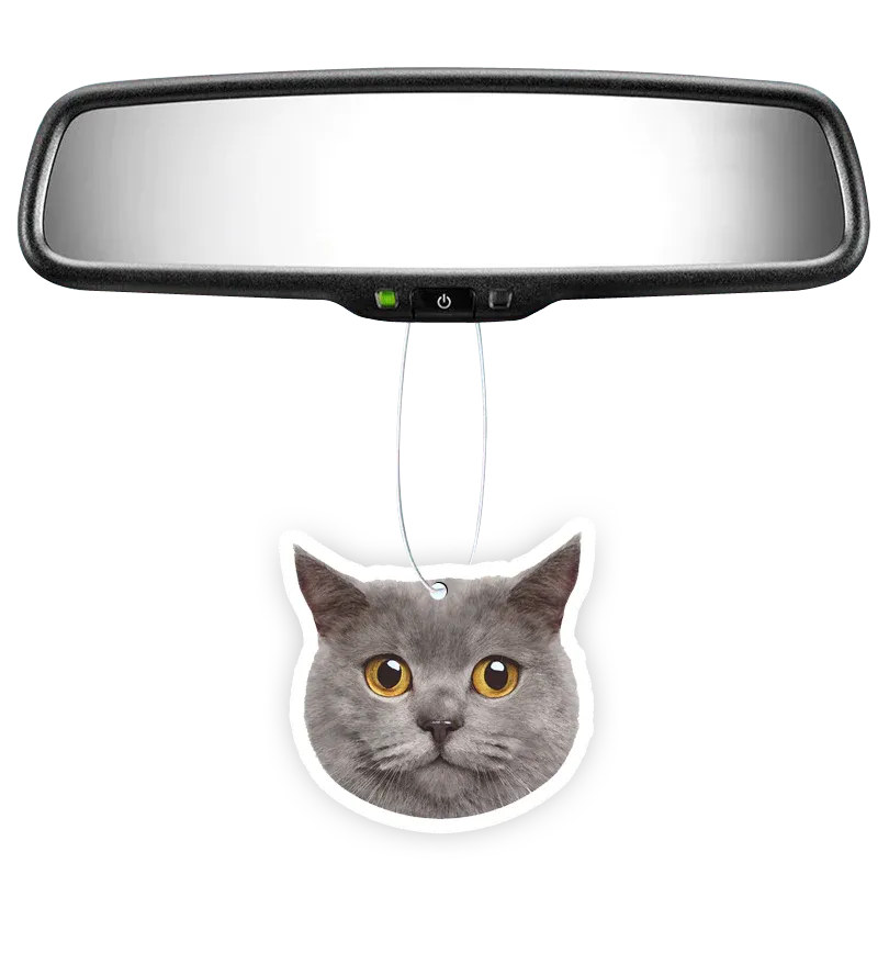 Custom Shape Air Freshener