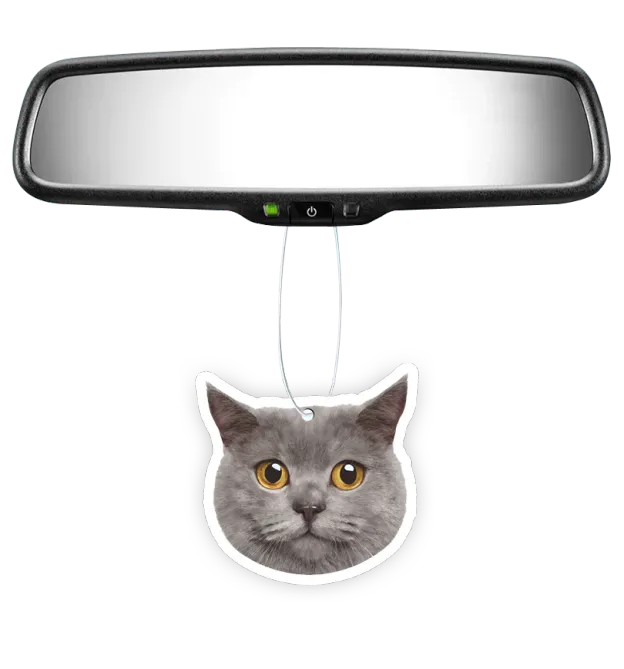 Custom Shape Air Freshener