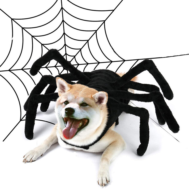 Halloween Funny Pet Spider Chest Back