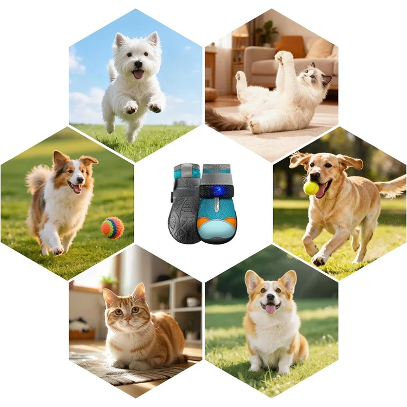 Dog Shoes with Built-in Lights