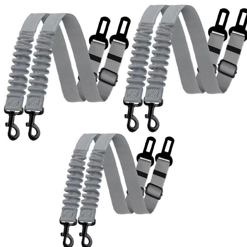 Pet Car Safety Leash 