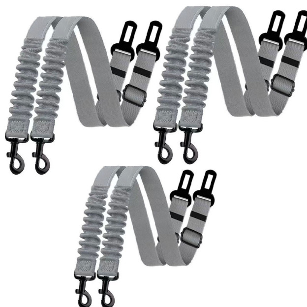 Pet Car Safety Leash 
