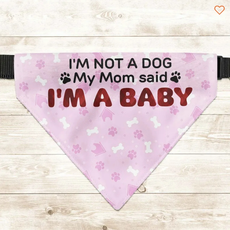Personalized Photo Dog Bandana Collar