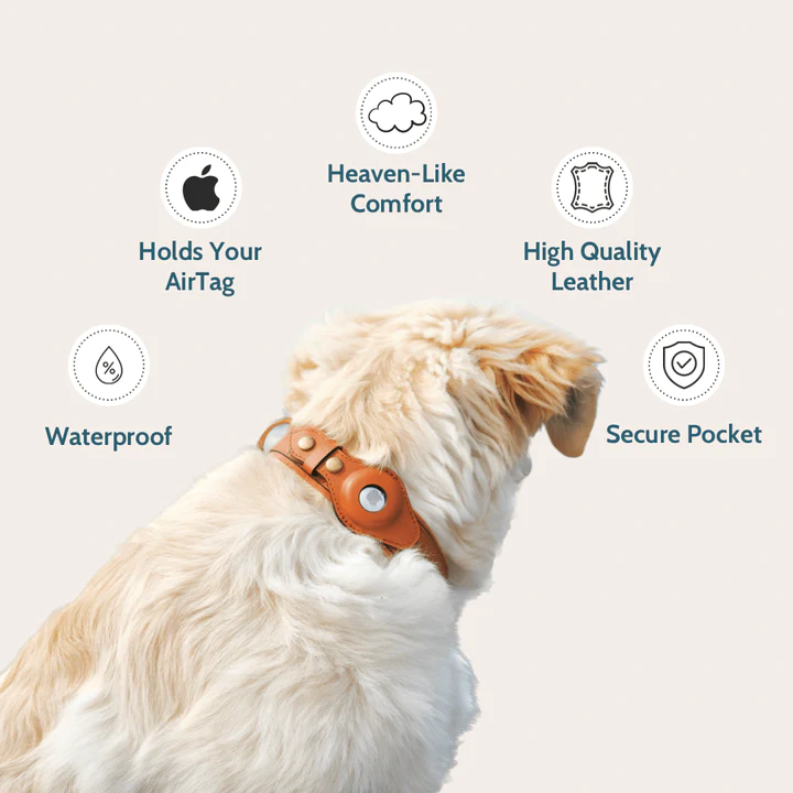personalise Leather AirTag Collar