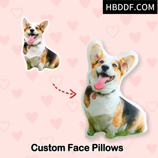 Customized face pillow