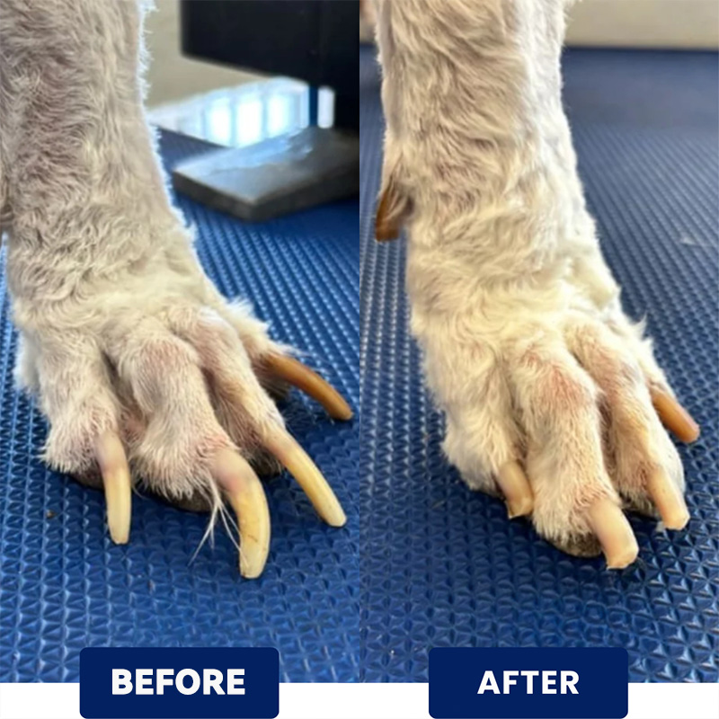 Pet nail trimming board