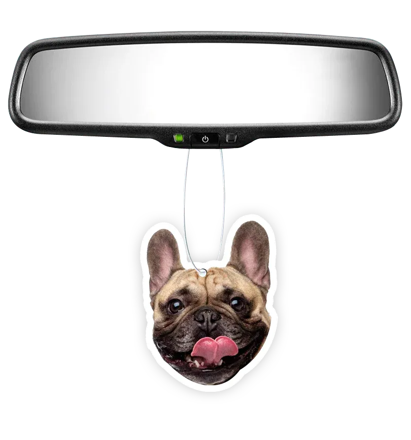 Custom Shape Air Freshener