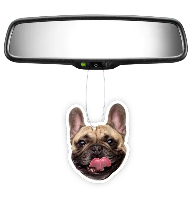 Custom Shape Air Freshener