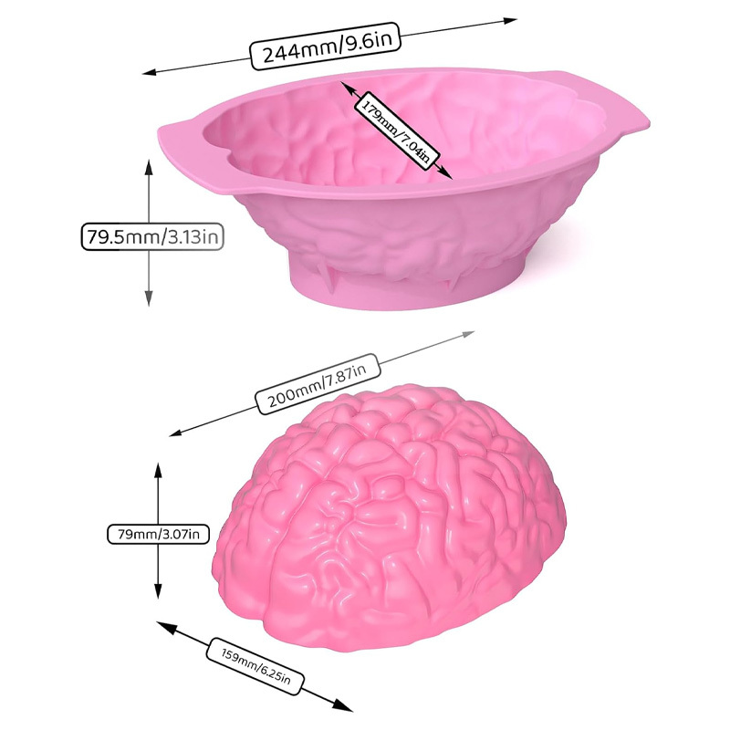 3D realistic silicone brain mold