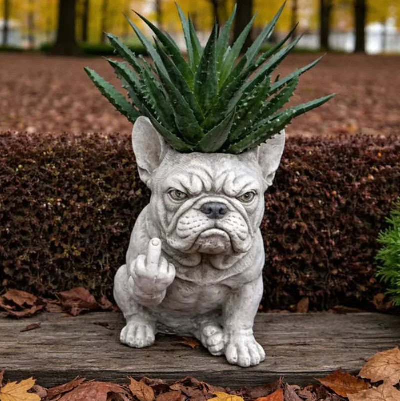 Fun French Dou Flower Pot