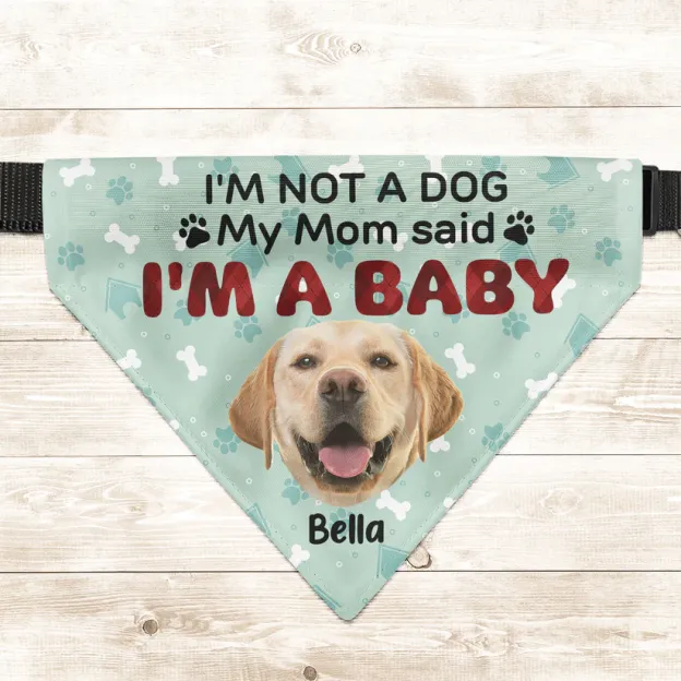 Personalized Photo Dog Bandana Collar
