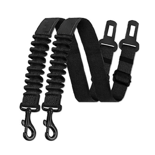 Pet Car Safety Leash 