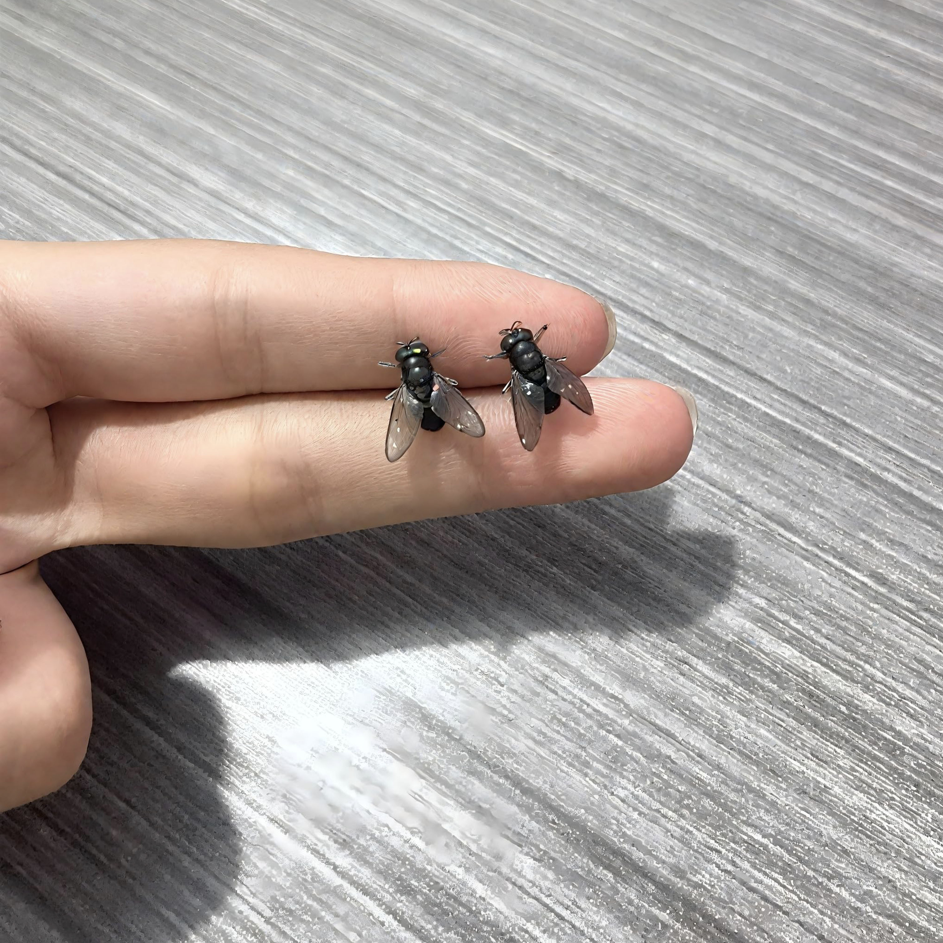 Realistic fly stud earrings
