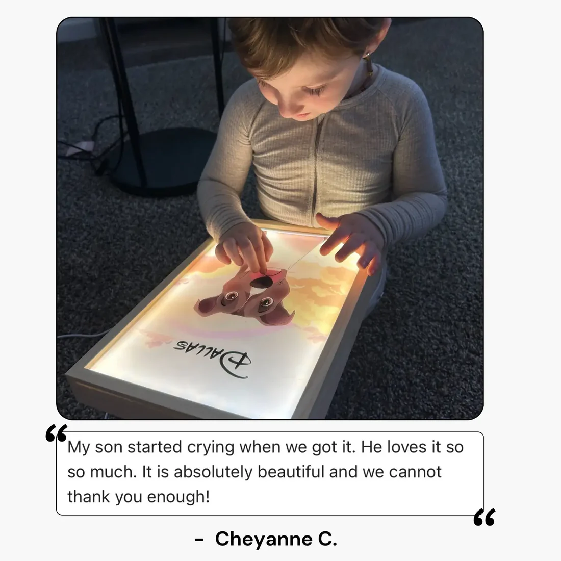 Custom Light Portrait