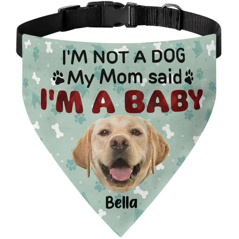 Personalized Photo Dog Bandana Collar