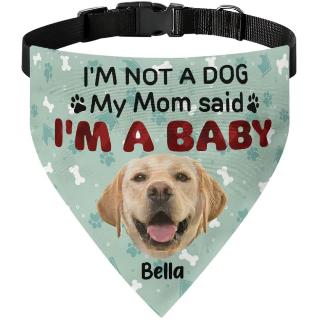 Personalized Photo Dog Bandana Collar
