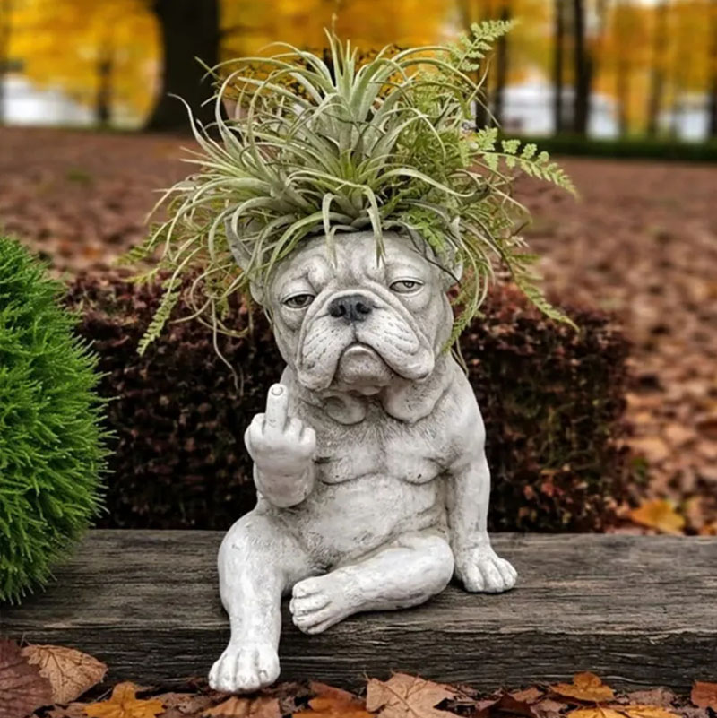 Fun French Dou Flower Pot