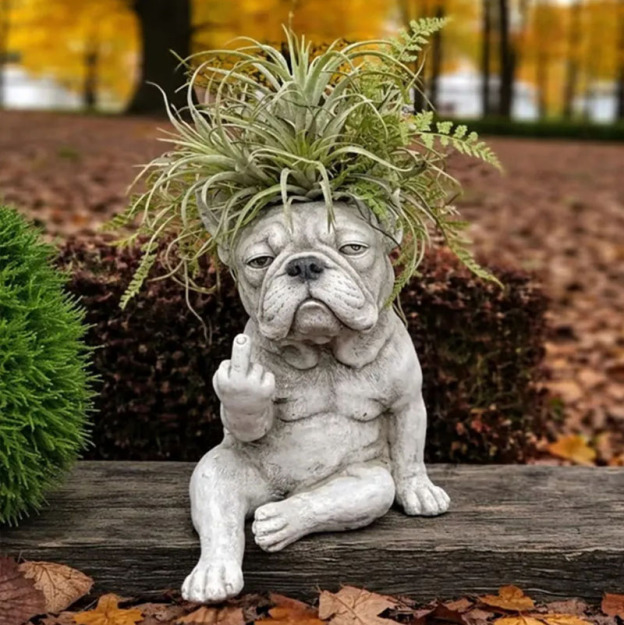 Fun French Dou Flower Pot