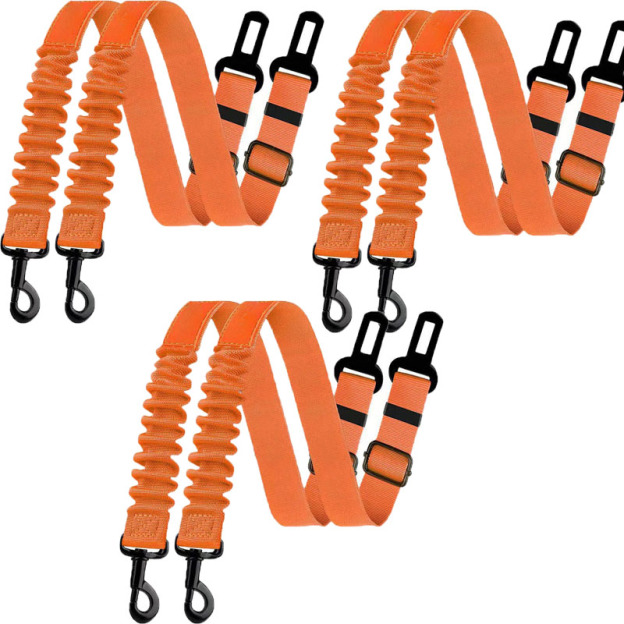 Pet Car Safety Leash 
