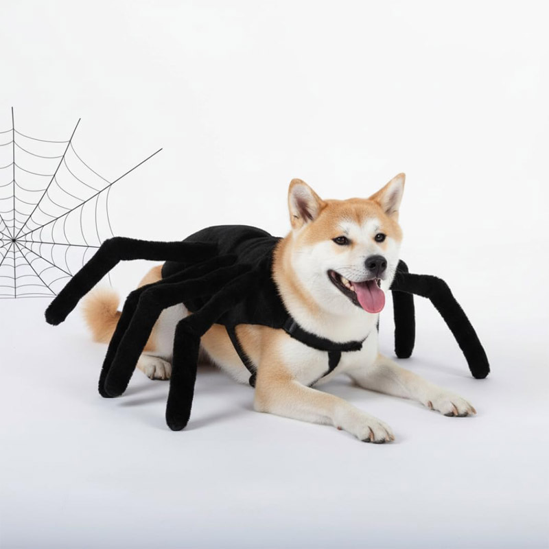 Halloween Funny Pet Spider Chest Back