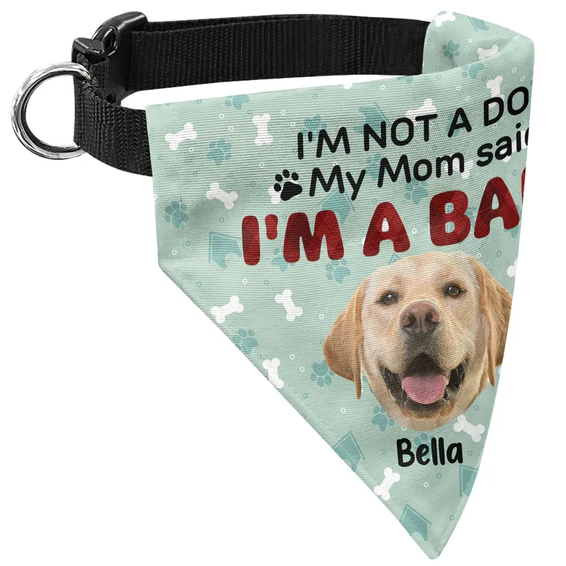 Personalized Photo Dog Bandana Collar