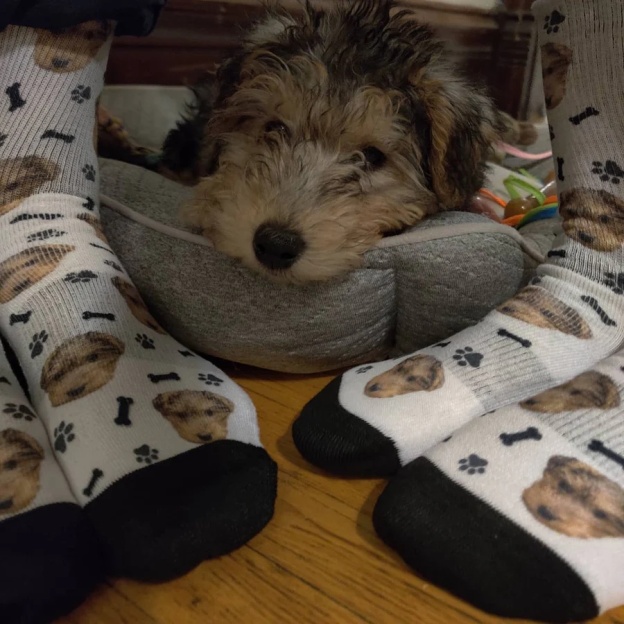 Custom Pet Socks