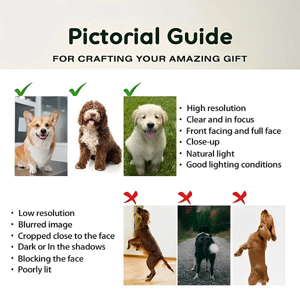 Personalized Pet Photo Food-grade Stainless Steel Non-slip Dog Cat Bowl Water Dish with Name Pet Feeding Supplies Birthday Gift for Pet Owners