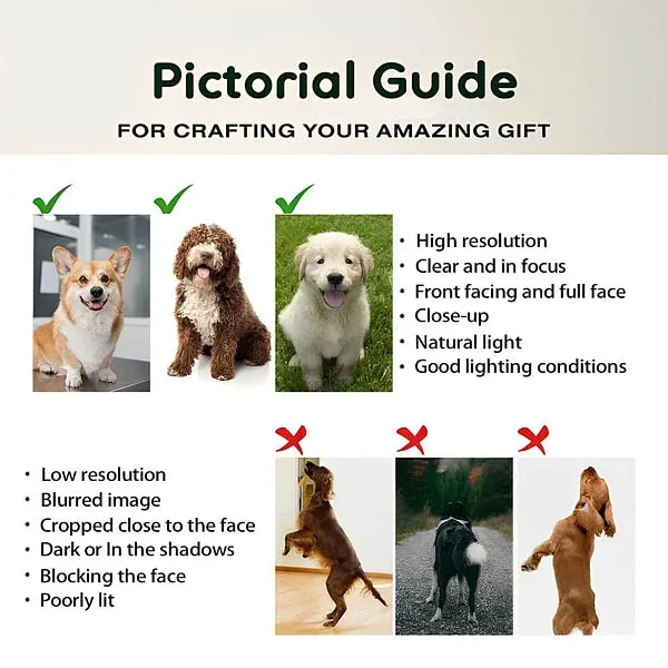 Personalized Pet Photo Food-grade Stainless Steel Non-slip Dog Cat Bowl Water Dish with Name Pet Feeding Supplies Birthday Gift for Pet Owners