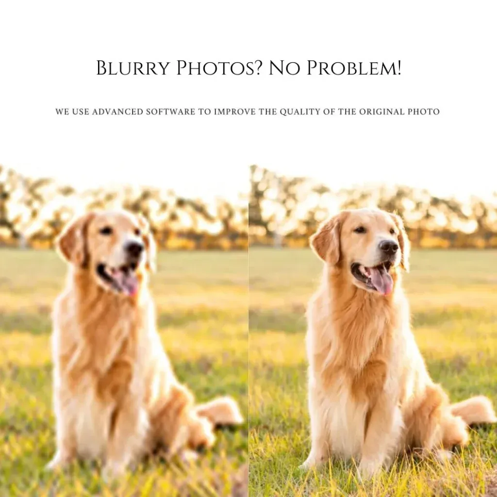 Personalized Pet Painting