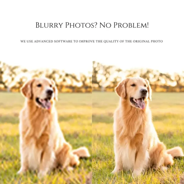 Personalized Pet Painting