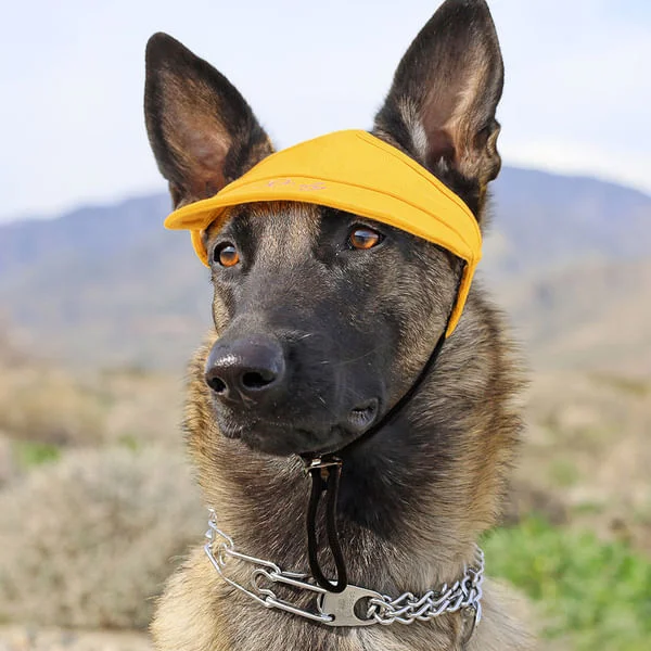 Personalized owner and dog embroidered name cap set, the perfect birthday gift for dog moms, dads and pet lovers