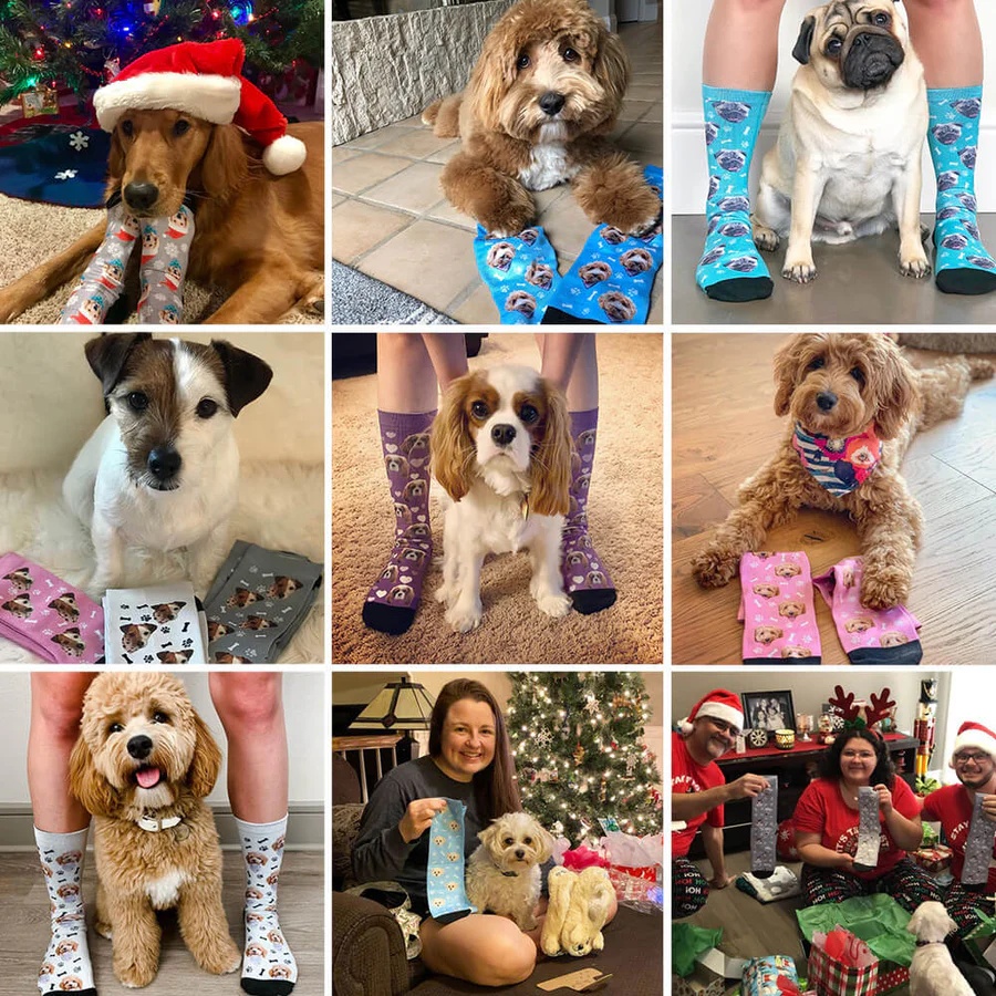 Custom Pet Socks