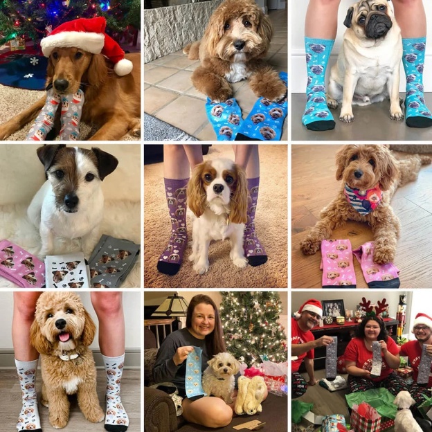 Custom Pet Socks