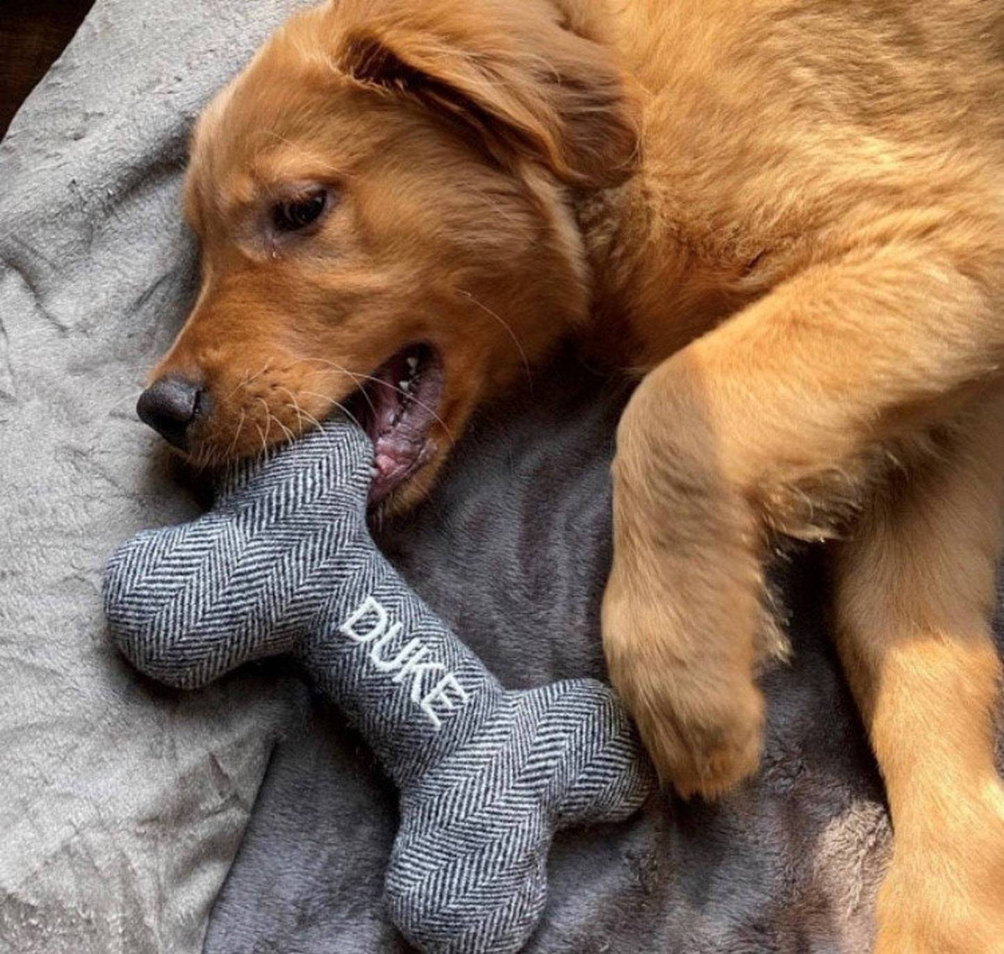 Personalized durable small dog bone head toy