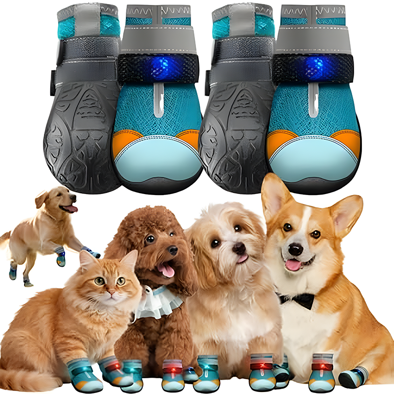 Dog Shoes with Built-in Lights