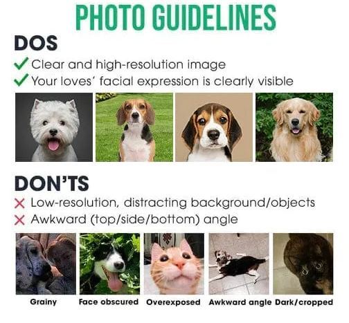 Customized Photo Pet Mug Gift