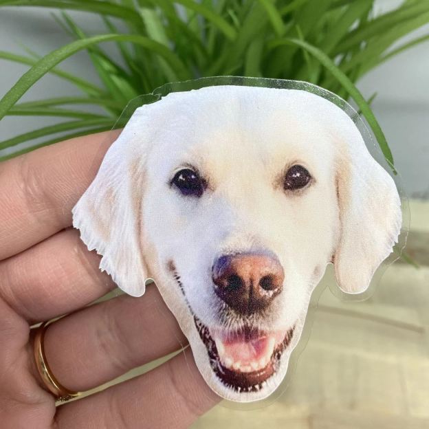 Custom Face Stickers, Personalized Stickers