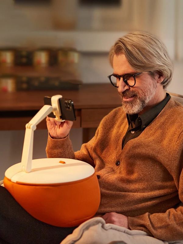 Sai whale pillow holder cell phone holder