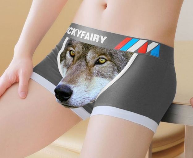Personalized Sexy Printed Boxer Briefs for Men