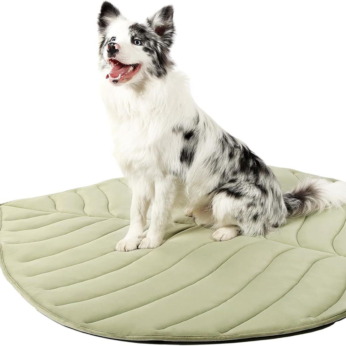 Leaf Shape Pet Cooling Pad