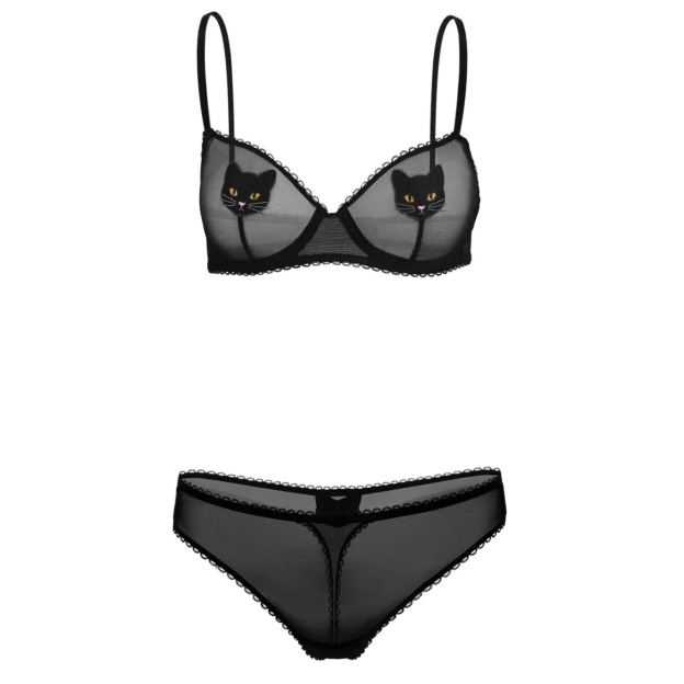 Transparent elastic mesh underwear set