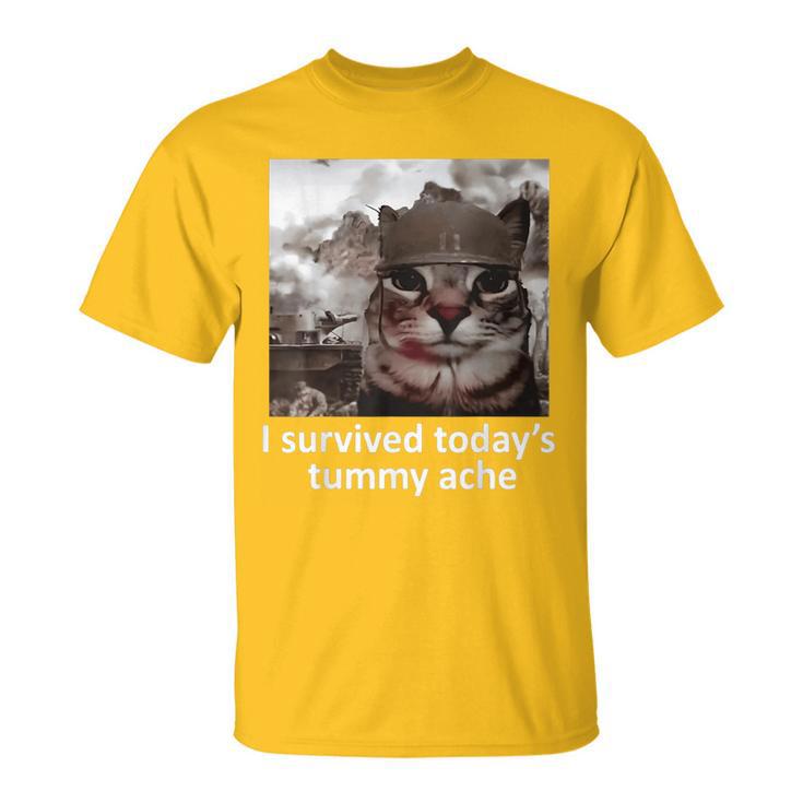 I survived today's tummy ache unisex meme t- shirt