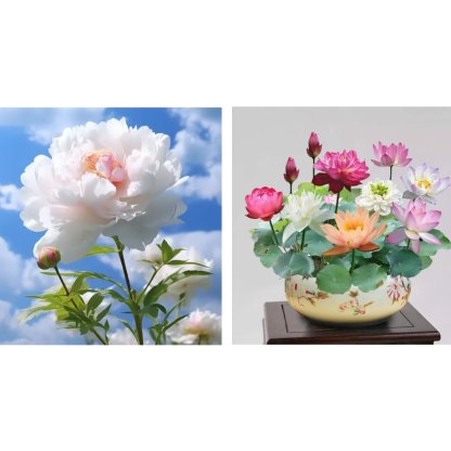🔥🌺THE QUEEN OF FLOWERS—DOUBLE PETALED PIANI