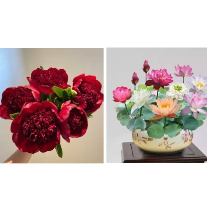 🔥🌺THE QUEEN OF FLOWERS—DOUBLE PETALED PIANI