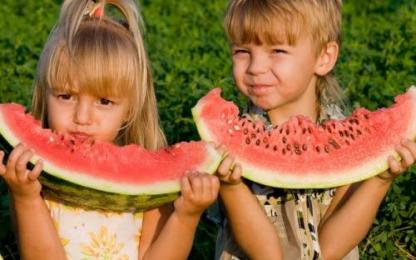 🔥Last day clearance🍉Lazy Man's Watermelon Seeds